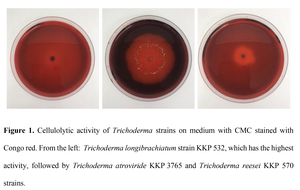 Figure from article: Characteristics of...